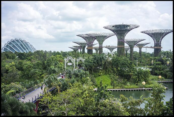 Singapore_gardens_by_John