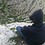 jasen_lakic